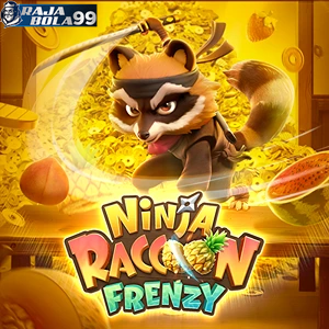 Ninja Racoon Frenzy